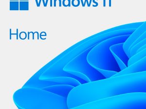 Windows 11 Home 64Bit English Intl 1pk DSP OEI DVD