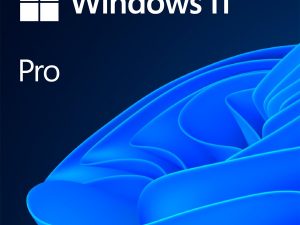 Windows 11 Professional 64Bit English Intl 1pk DSP OEI DVD