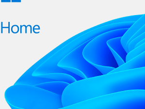 Microsoft WIN HOME 11 64-bit All Languages Online Product Key License 1 License Downloadable ESD NR