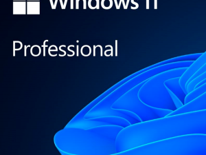 Microsoft Windows Professional 11 64-bit All Languages Online Product Key License 1 License Downloadable ESD NR