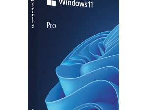 Win Pro FPP 11 64-bit Eng Intl USB