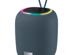 CANYON speaker BSP-8 10W Gray