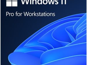 Win 11 Pro GGK 64Bit Eng Intl 1pk DSP ORT OEI DVD