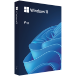 Microsoft Win Pro N 11 64-bit All Languages Online Product Key License 1 License Downloadable ESD NR