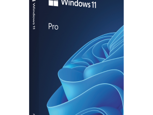 Microsoft Win Pro N 11 64-bit All Languages Online Product Key License 1 License Downloadable ESD NR