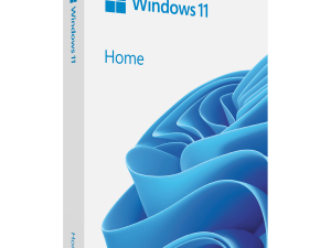 Microsoft WIN HOME N 11 64-bit All Languages Online Product Key License 1 License Downloadable ESD NR