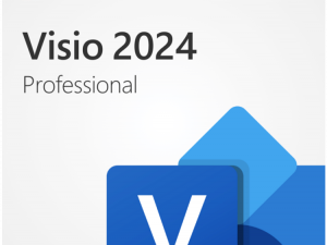 Visio Pro 2024 All Lng Retail Online ESD