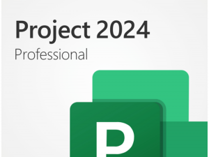 Project Pro 2024 All Lng Retail Online ESD