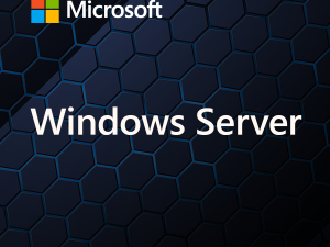 Windows Svr Std 2025 64Bit English 1pk DSP OEI DVD 16 Core