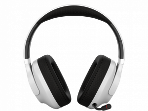 CANYON headset EGO GH-16 3in1 2.4Ghz+BT White