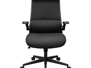 COUGAR Stryder Gaming Chair