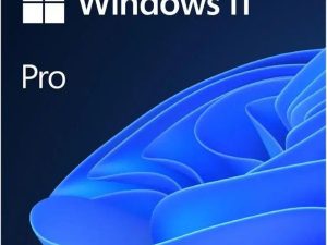 Софтуер MS Windows Pro FPP 11 64-bit Eng Intl
