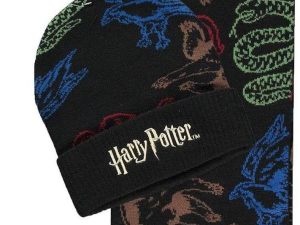 Комплект шал и шапка DIFUZED Harry Potter, Черен