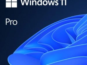 Софтуер Microsoft Windows 11 Pro x64 Английски език OEM